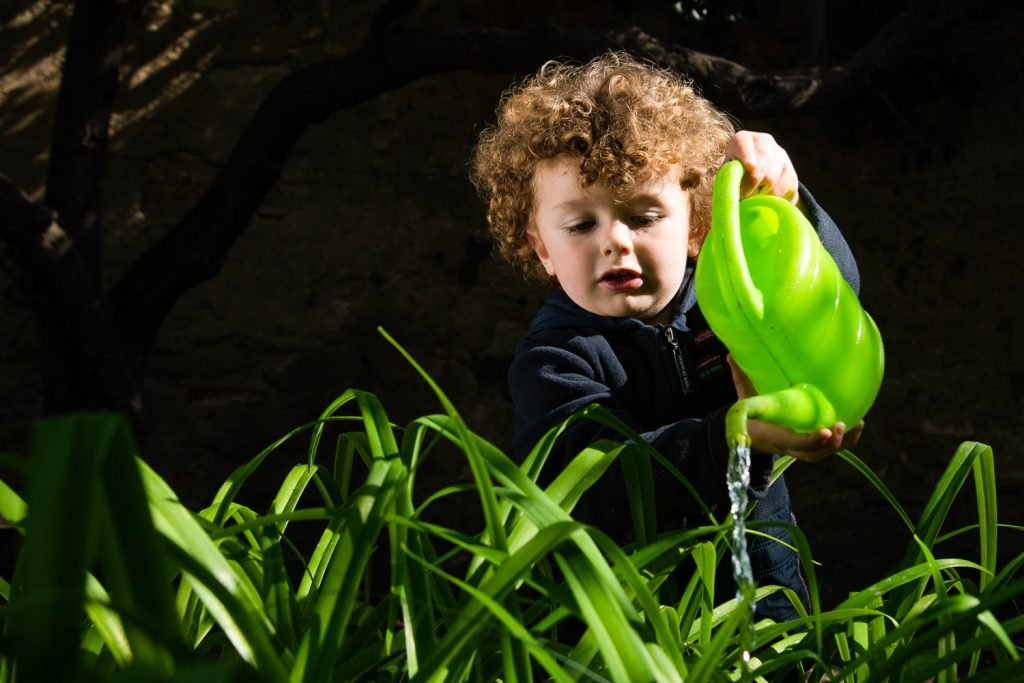 Sciences en maternelle : vivre les cycles de la nature