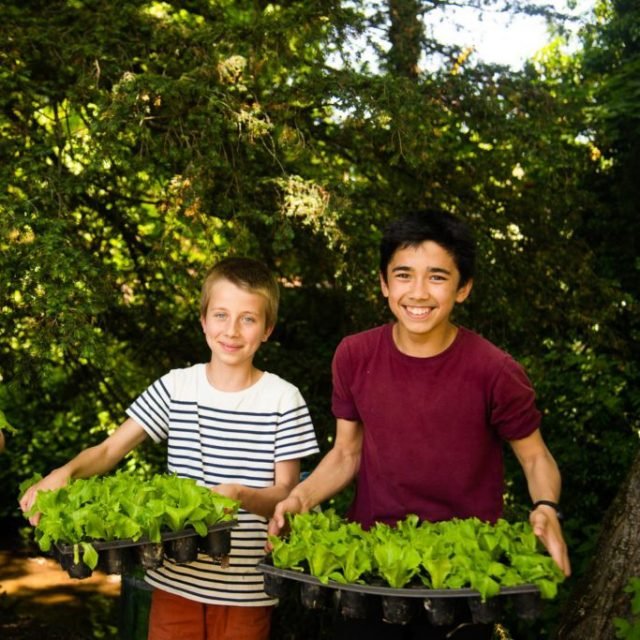 Enfant faisant du jardinage à l'école Steiner Waldorf