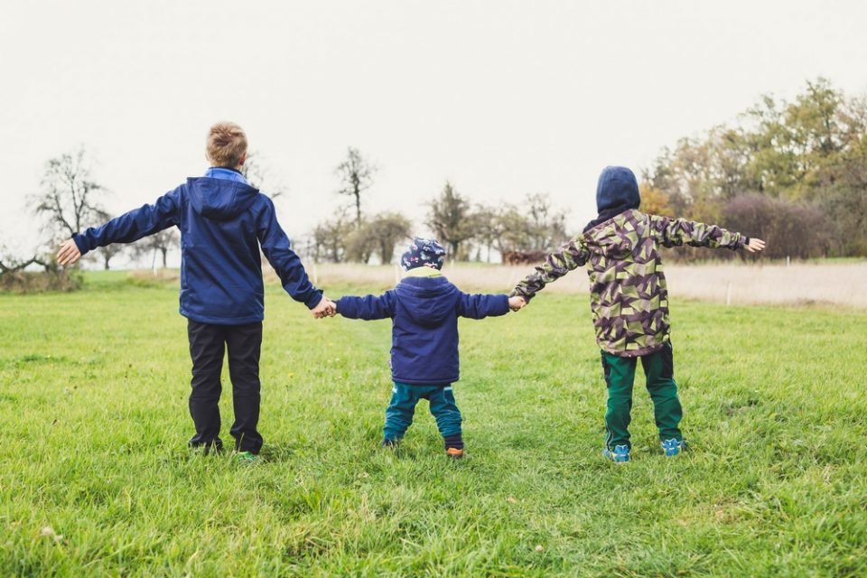Replay : Du petit enfant au jeune adulte : grandes étapes de développement et pédagogie Steiner-Waldorf