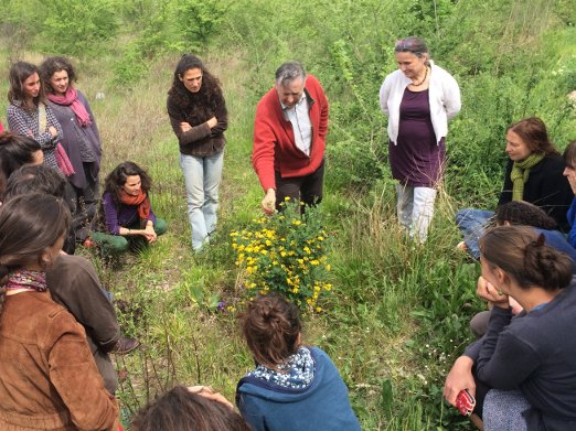 Journée découverte Didascali : Pédagogie et nature